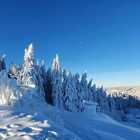Apartment Haus Schneider Winterberg