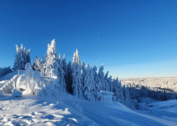 Apartment Haus Schneider Winterberg
