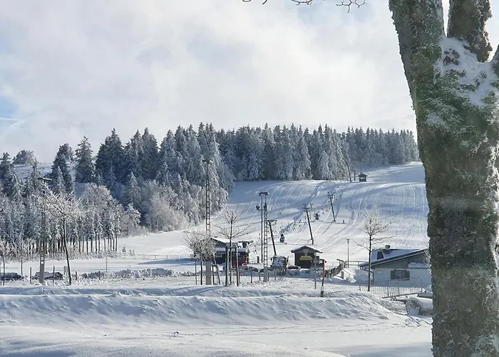 Apartman Haus Schneider *