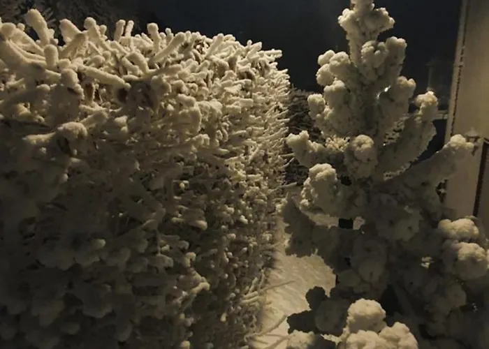 Haus Schneider Apartman Winterberg