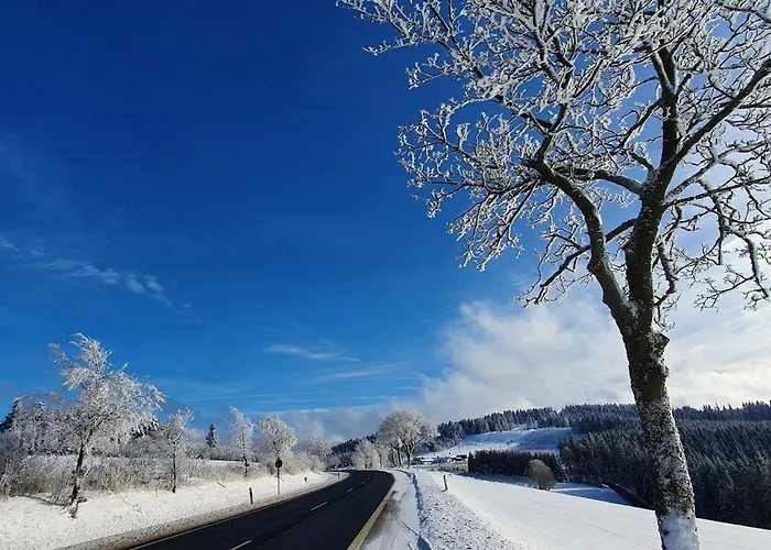 Haus Schneider Winterberg